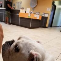 Azusa Animal Hospital ico