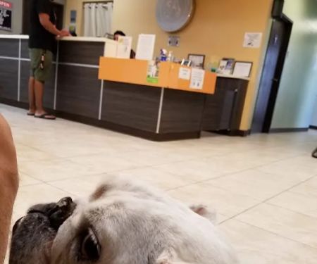 Azusa Animal Hospital