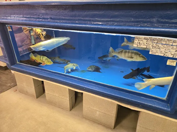Global Fish Co. Picture 7