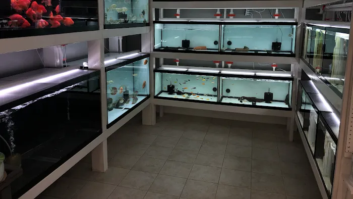 Global Fish Co. Picture 9