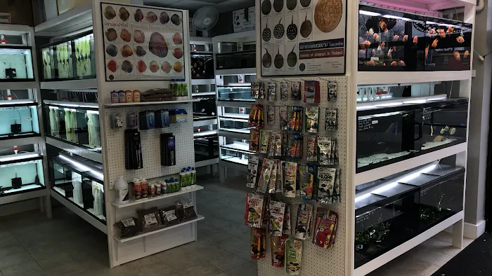 Global Fish Co. Picture 8