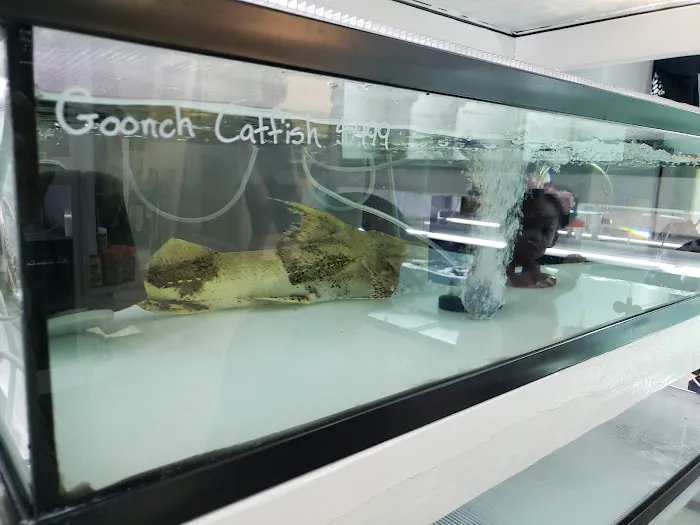 Global Fish Co. Picture 5