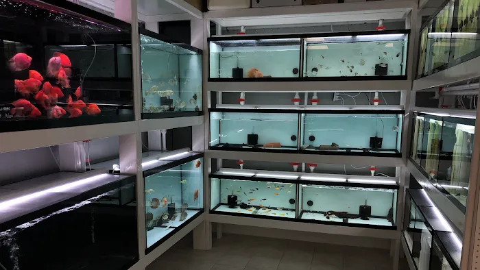 Global Fish Co. Picture 10