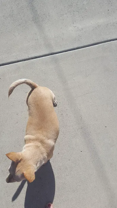 West Foothill Animal Hospital Picture 2