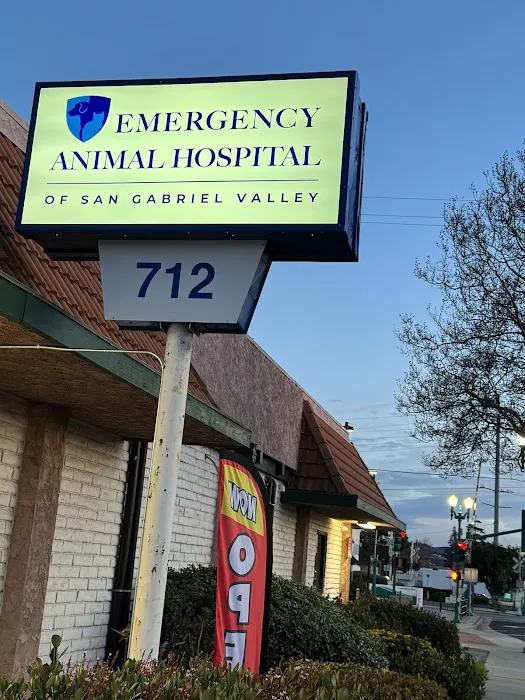 Emergency Animal Hospital of San Gabriel Valley Picture 5