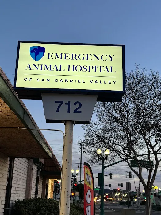 Emergency Animal Hospital of San Gabriel Valley Picture 2
