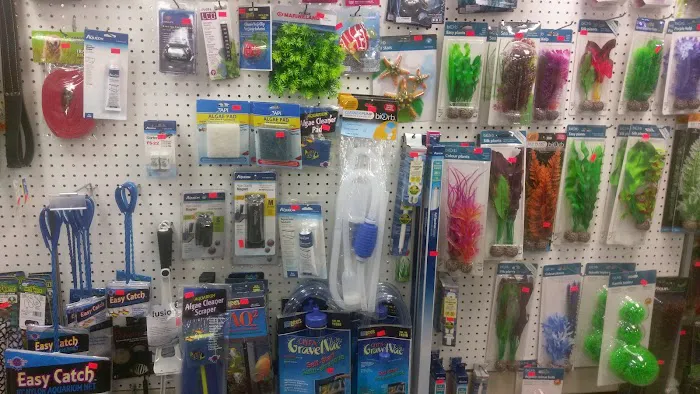 Plaza Pet World Picture 3