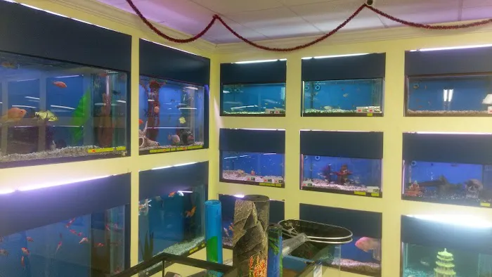 Plaza Pet World Picture 9