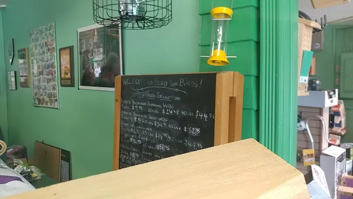 Feed the Birds! Picture 4