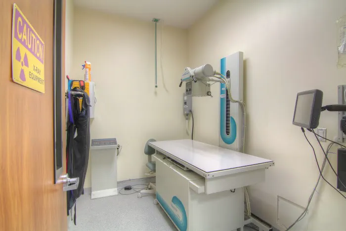 Covina Animal Hospital Picture 5