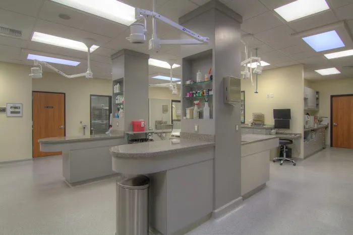 Covina Animal Hospital Picture 10