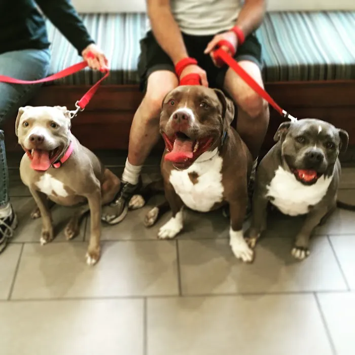 Covina Animal Hospital Picture 2