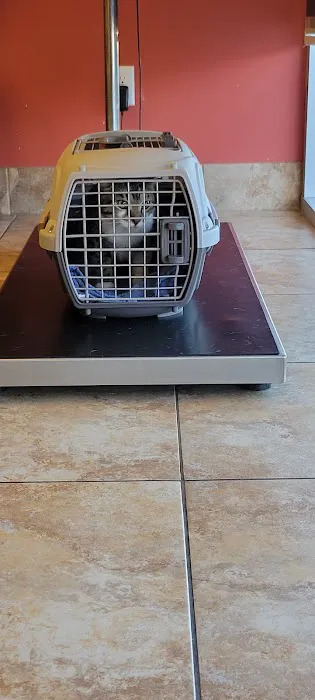 Country Club Animal Hospital Picture 4