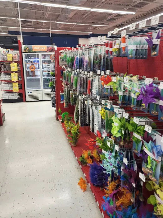 Petco Picture 9