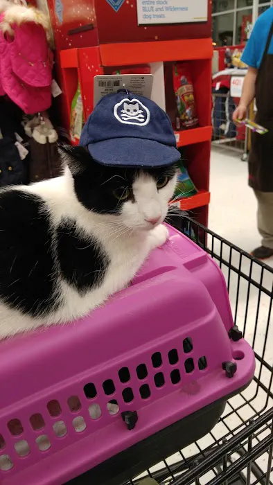 Petco Picture 2