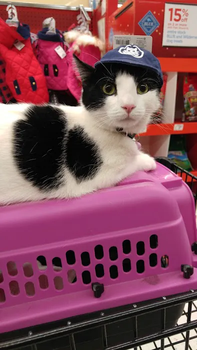 Petco Picture 1