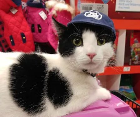 Petco