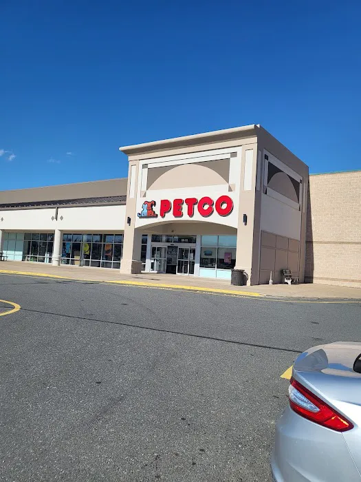 Petco Picture 3