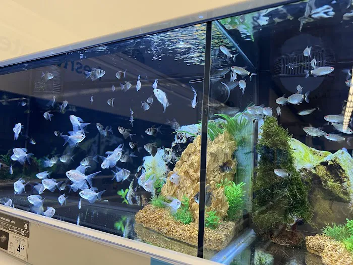 Petco Picture 5
