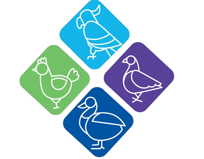 Avian Fashions Picture 6