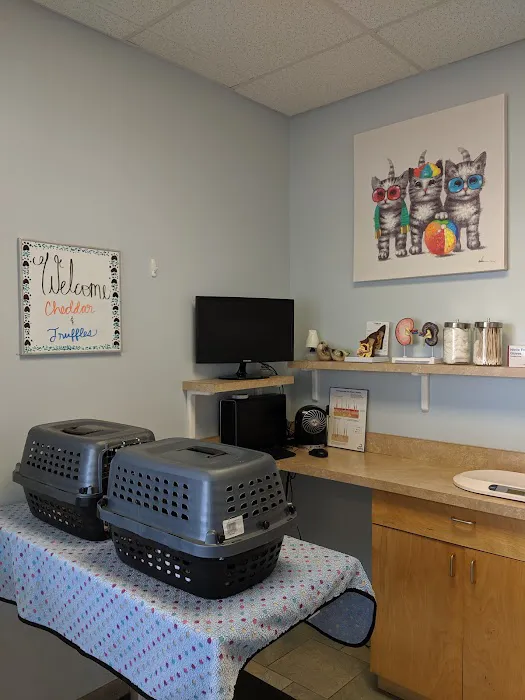 University Veterinary Center Picture 1