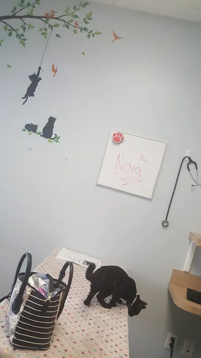University Veterinary Center Picture 8