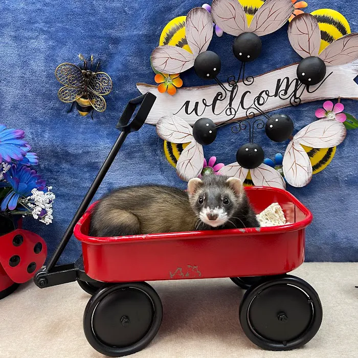 Pets Plus Inc Picture 10