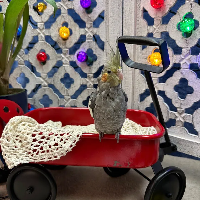 Pets Plus Inc Picture 7