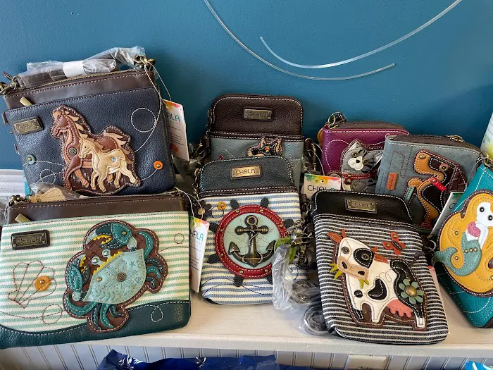 Beach Paws Boutique & Ask Dr. Caryn Picture 10