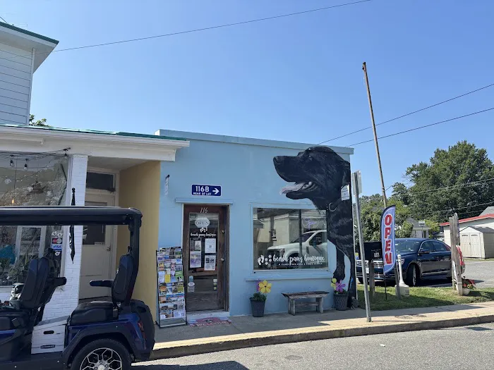Beach Paws Boutique & Ask Dr. Caryn Picture 2