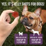Beach Paws Boutique & Ask Dr. Caryn