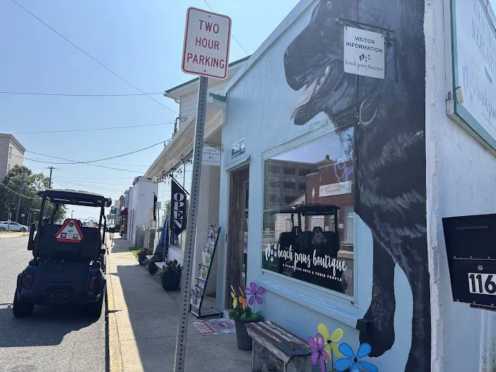Beach Paws Boutique & Ask Dr. Caryn Picture 7