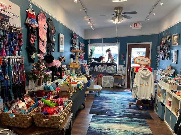 Beach Paws Boutique & Ask Dr. Caryn Picture 4