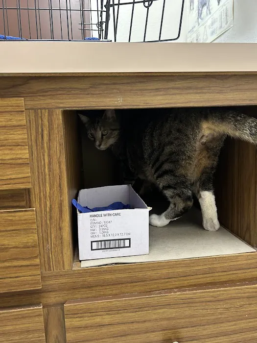 Jet's Pet Hospital Picture 5