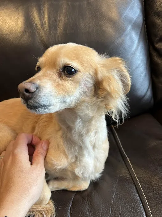 Jet's Pet Hospital Picture 1