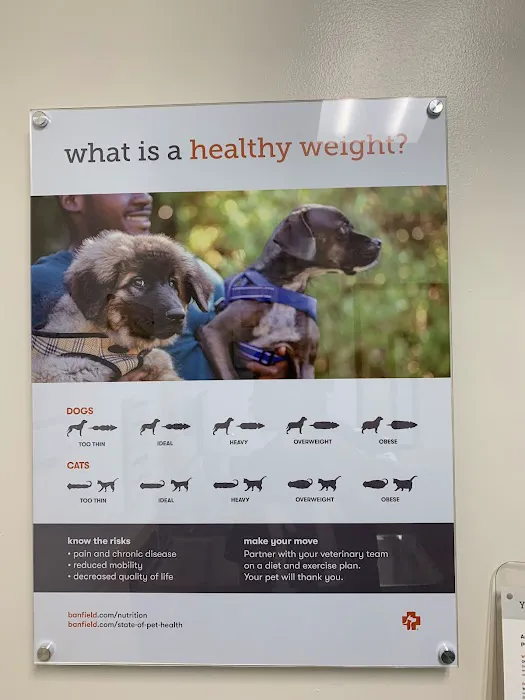 Banfield Pet Hospital Picture 7