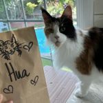 Banfield Pet Hospital