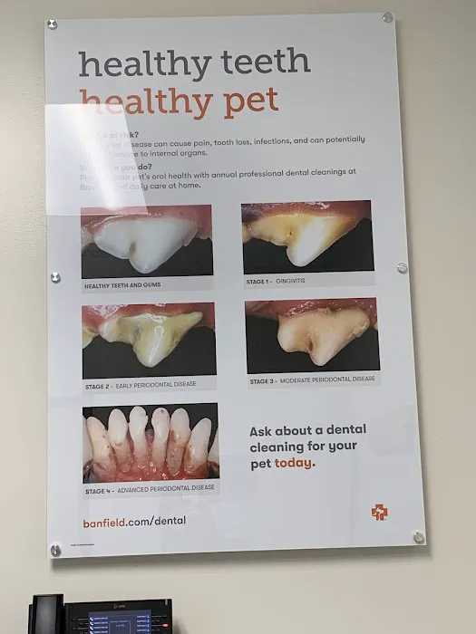 Banfield Pet Hospital Picture 5