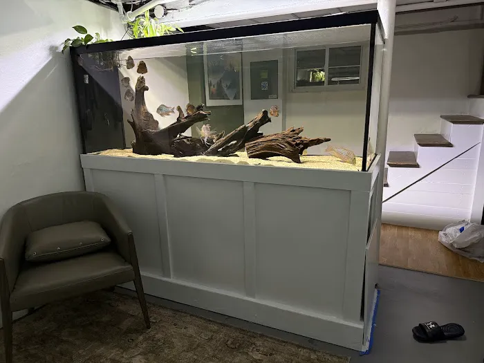 Life in Aquarium Picture 5