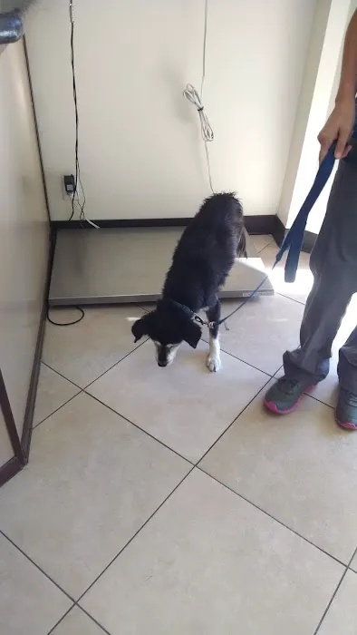 Animal Medical Clinic Picture 5