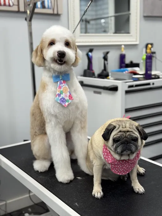 My love Pets and Grooming Picture 5