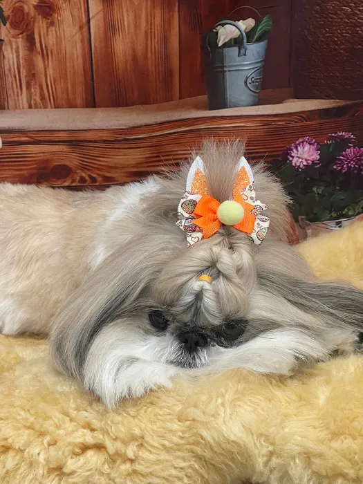 My love Pets and Grooming Picture 10