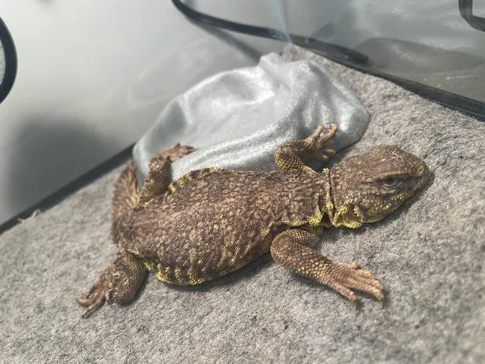 Uniq Pet Imports Pet shop Picture 10