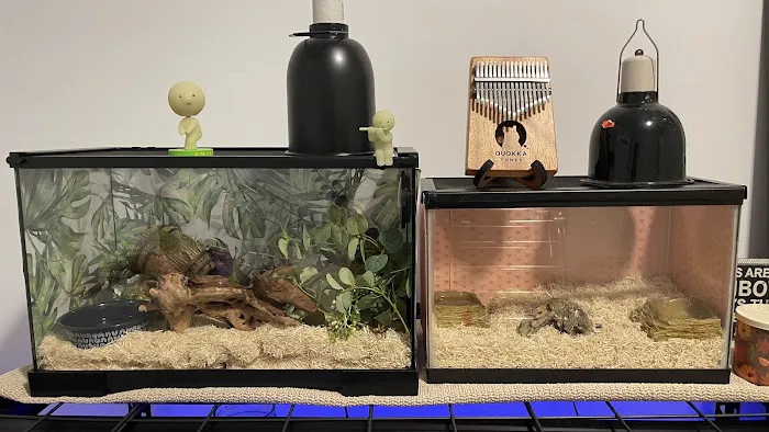 Uniq Pet Imports Pet shop Picture 4