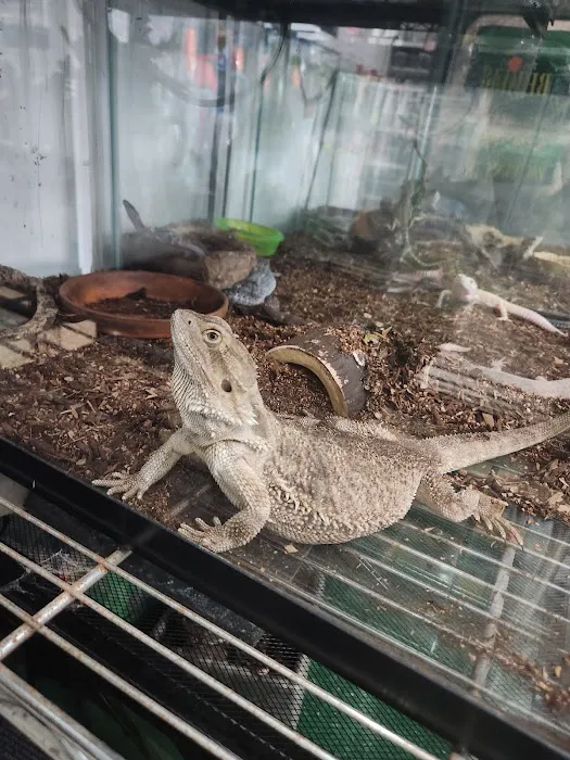 Uniq Pet Imports Pet shop Picture 7