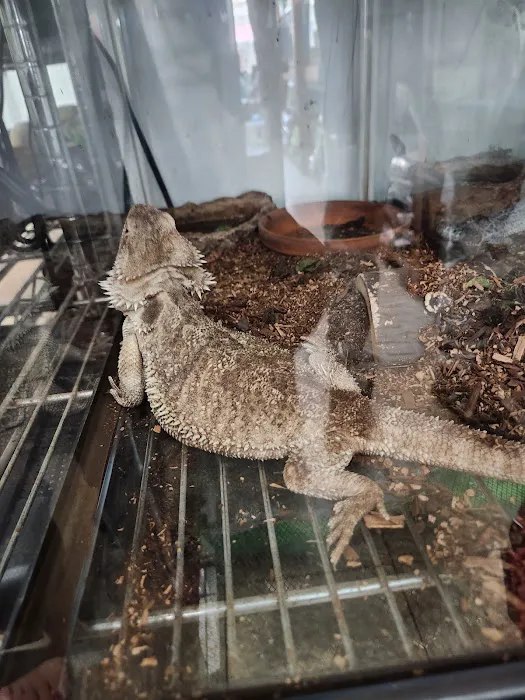 Uniq Pet Imports Pet shop Picture 3