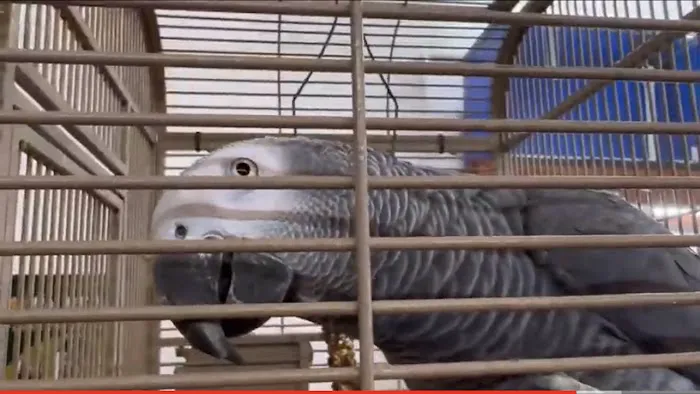 Uniq Pet Imports Pet shop Picture 1
