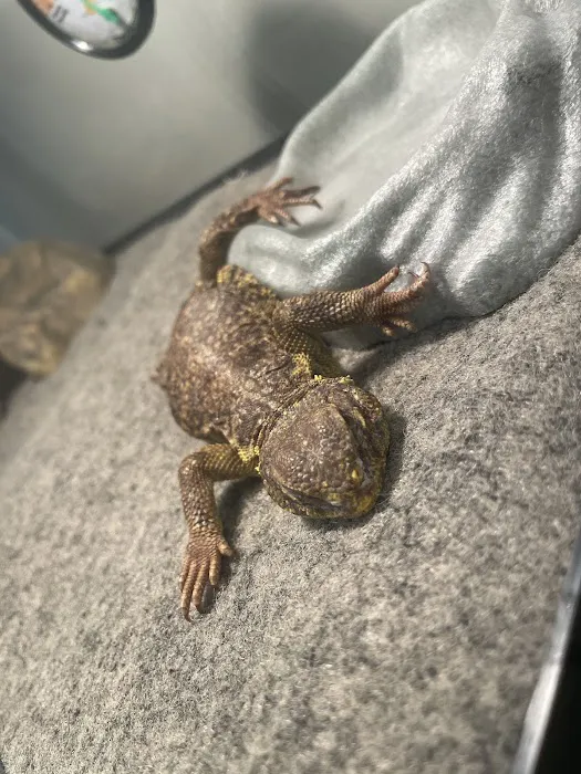 Uniq Pet Imports Pet shop Picture 6