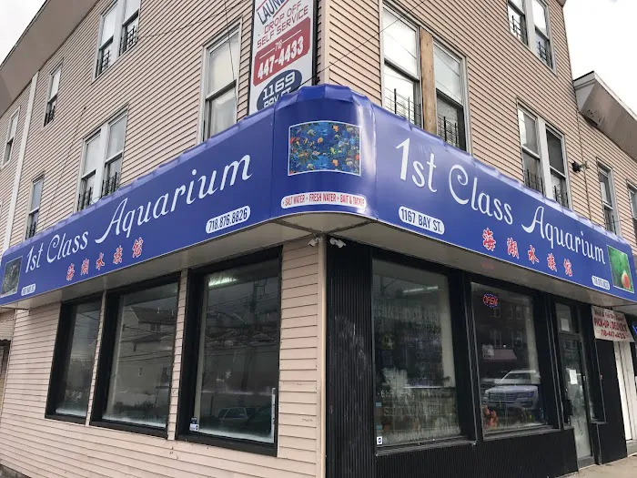 1st Class Aquarium Picture 10