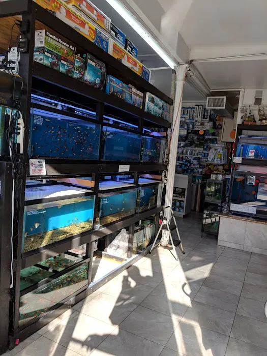 1st Class Aquarium Picture 3